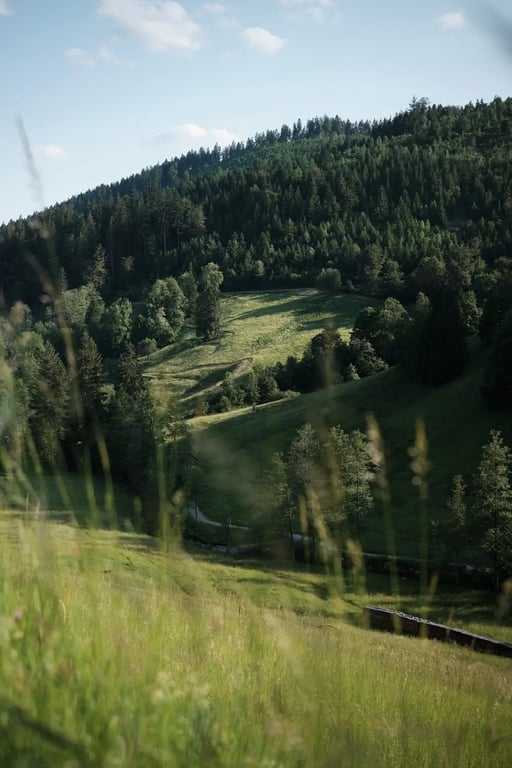 Hotel Traube Tonbach