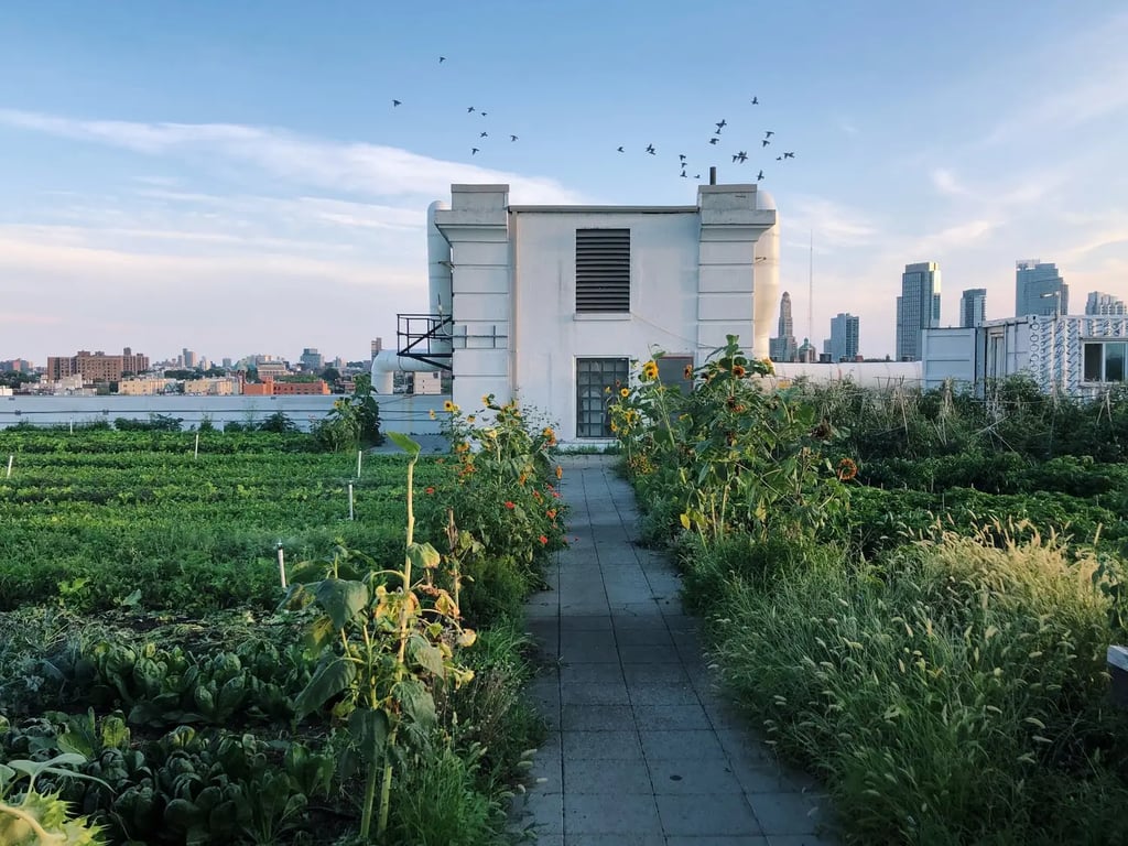 Brooklyn Grange