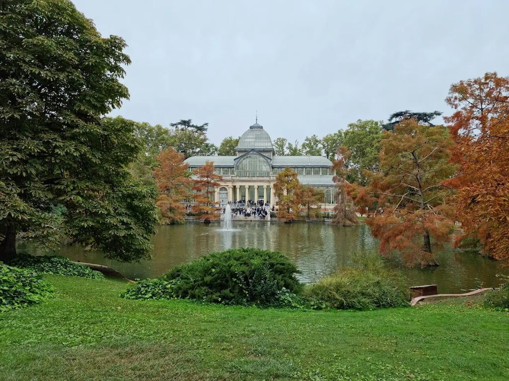 Park Views