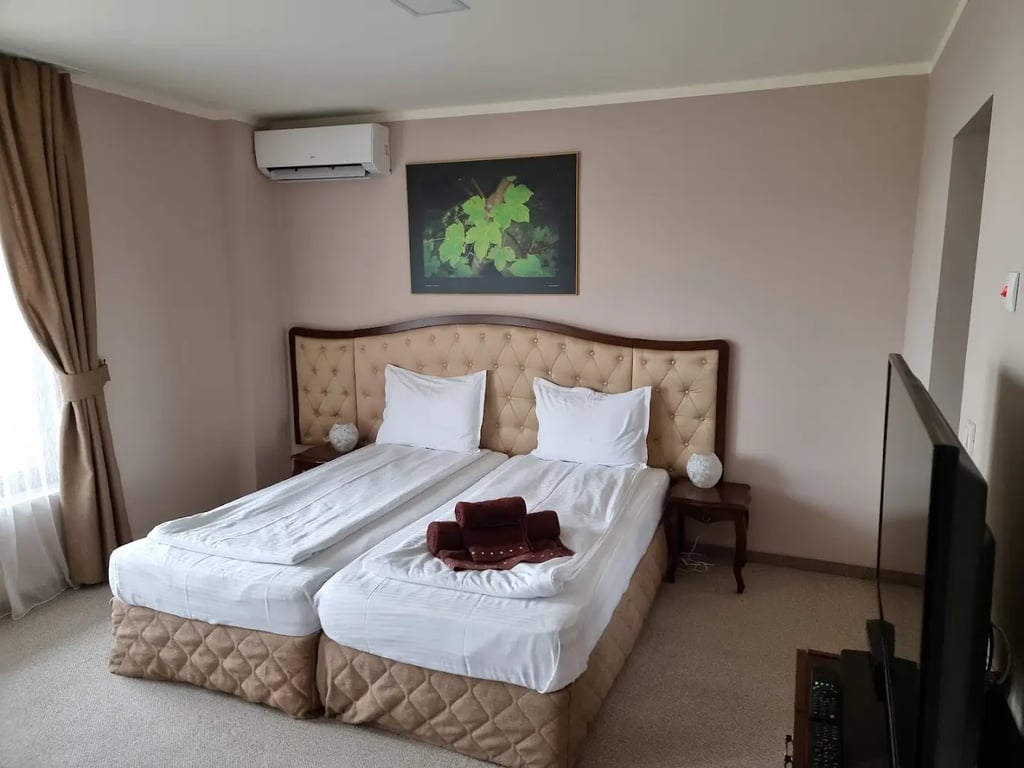 Hotel Villa Magus