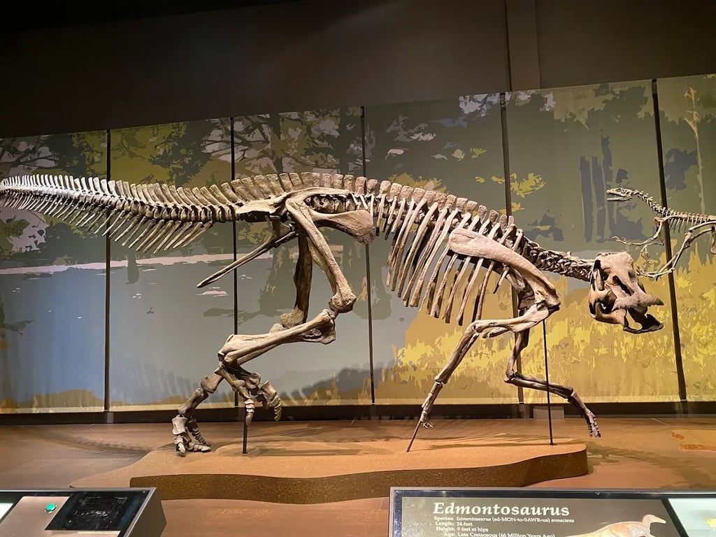 Tellus Science Museum