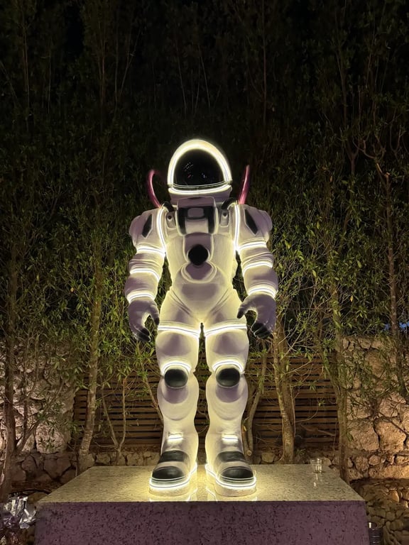 Space Sharm