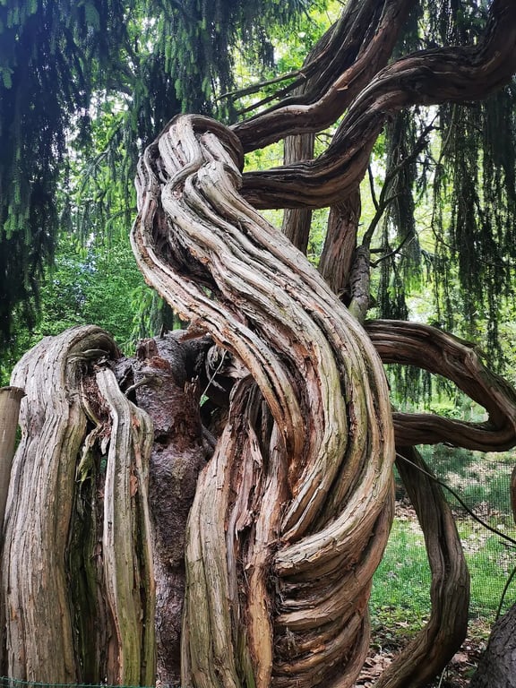 The Szombathely Arborétum