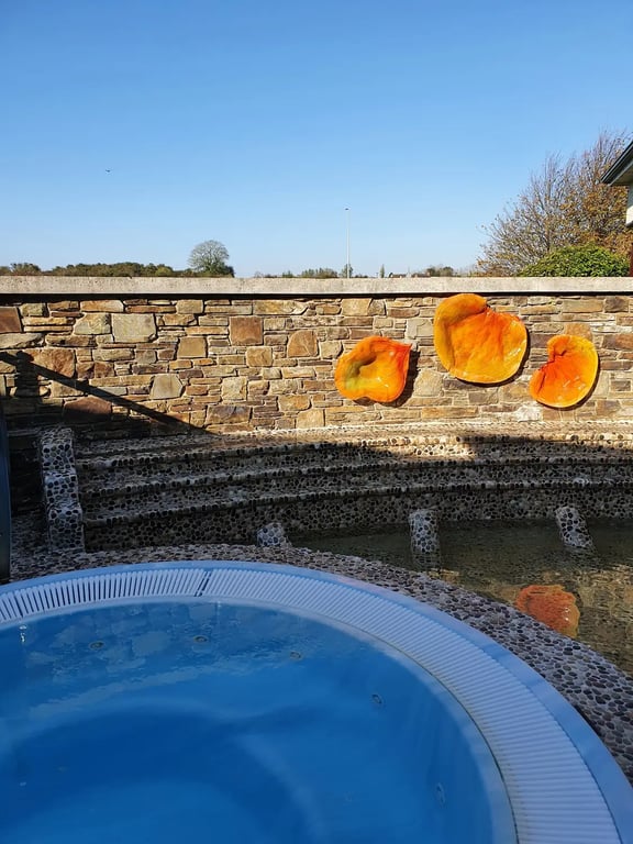 Ballygarry Estate Hotel & Spa