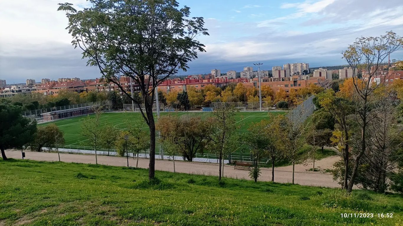 Una Caminata en el Parque