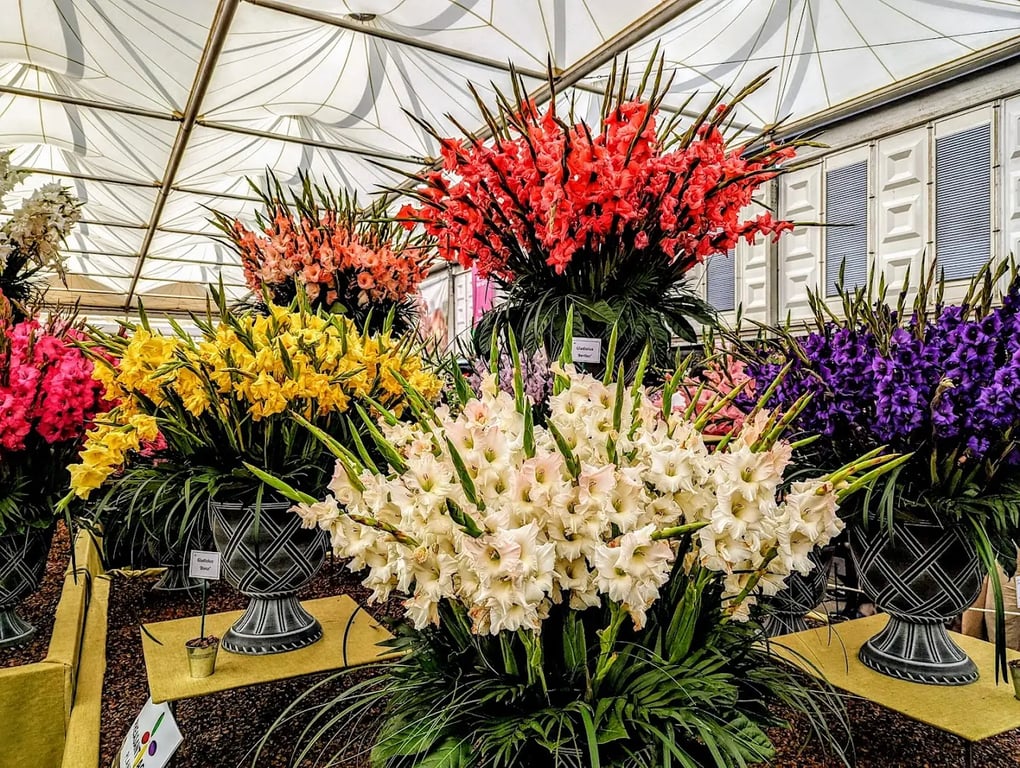 Chelsea Flower Show