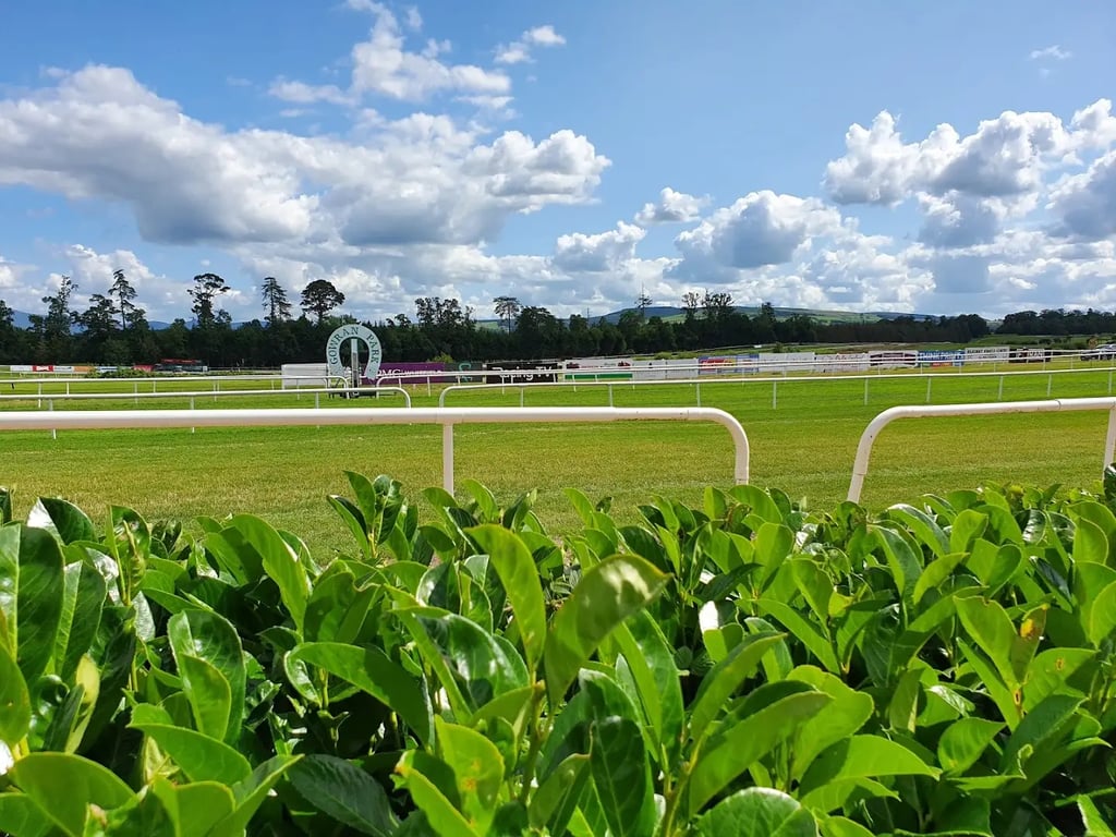 Gowran Park Racecourse
