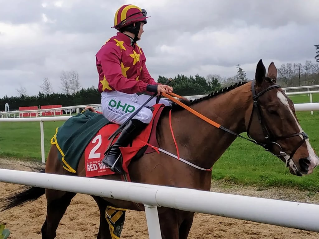 Gowran Park Racecourse