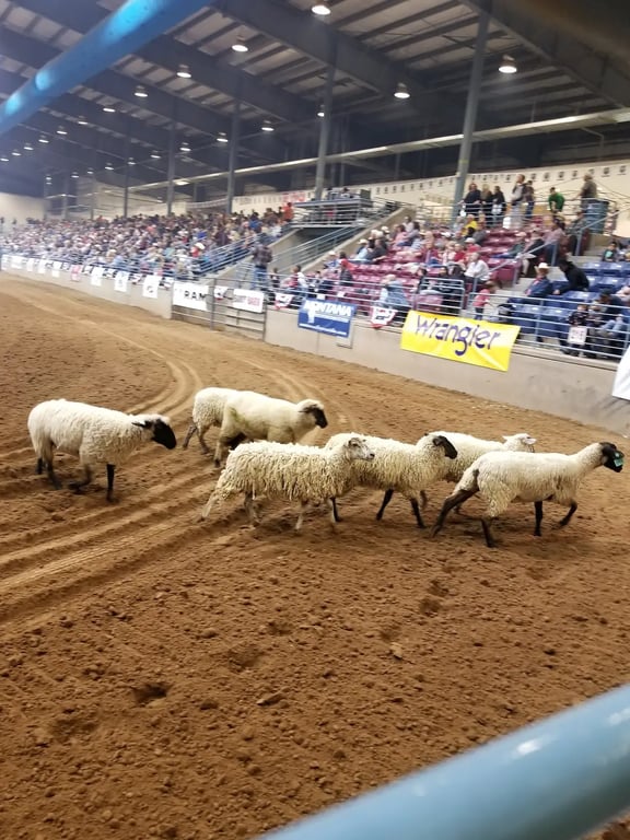 Mojave Crossing