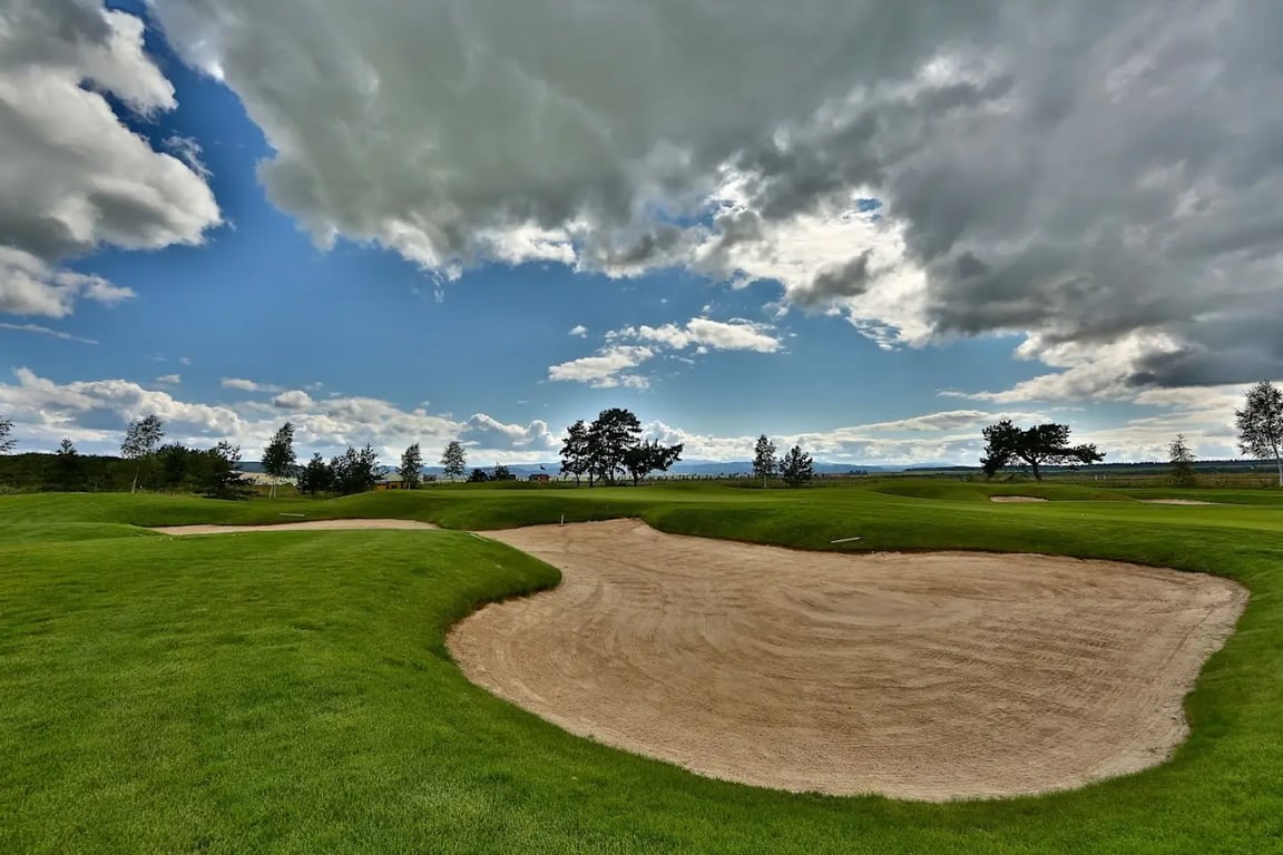 Black Stork Golf