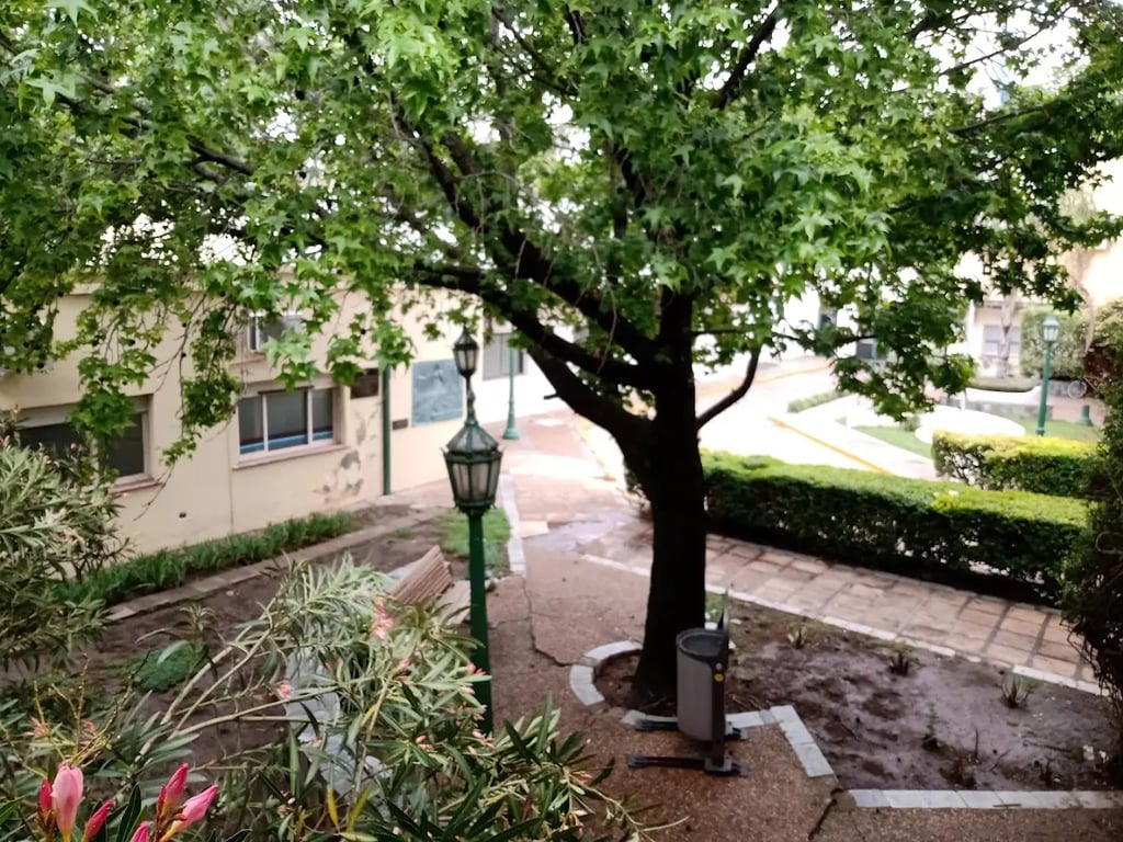 Venado Tuerto Municipal