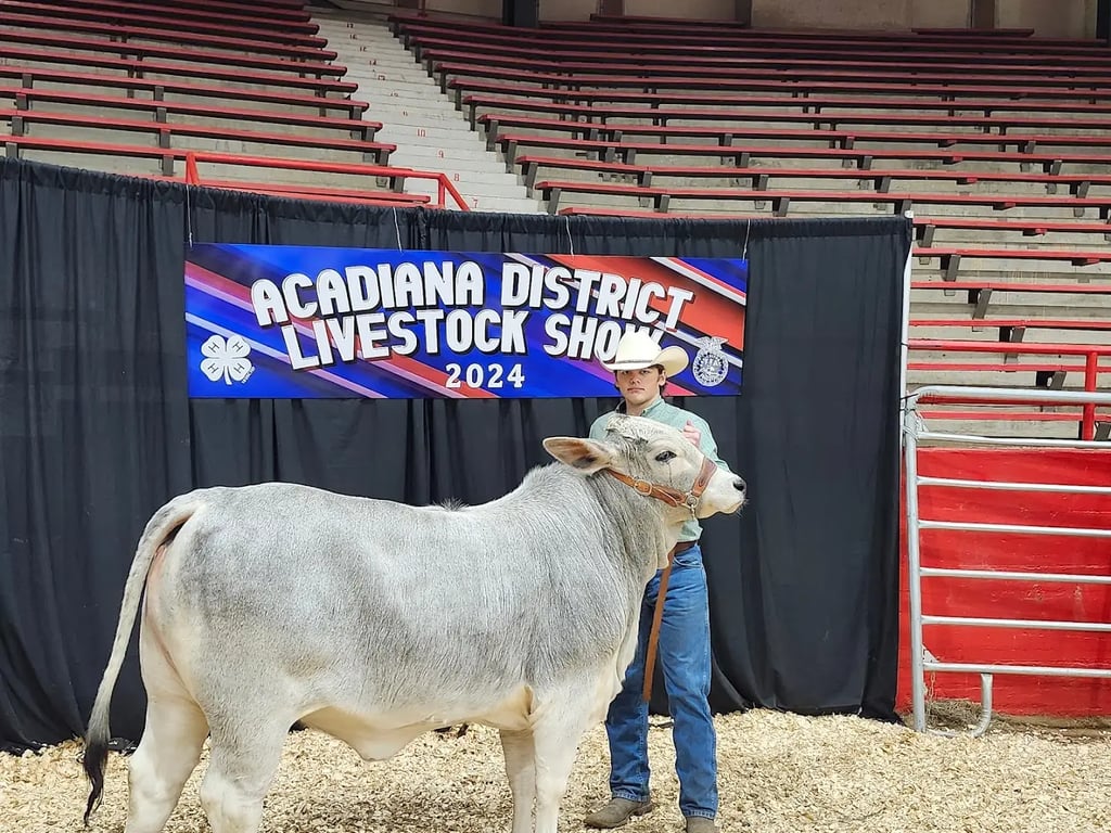 Blackham Coliseum (Lafayette)