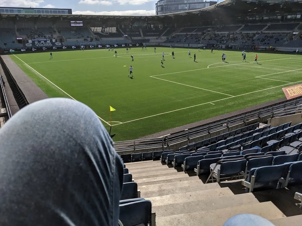 Viking Stadion