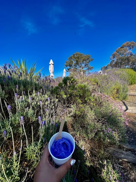 Bagot Park