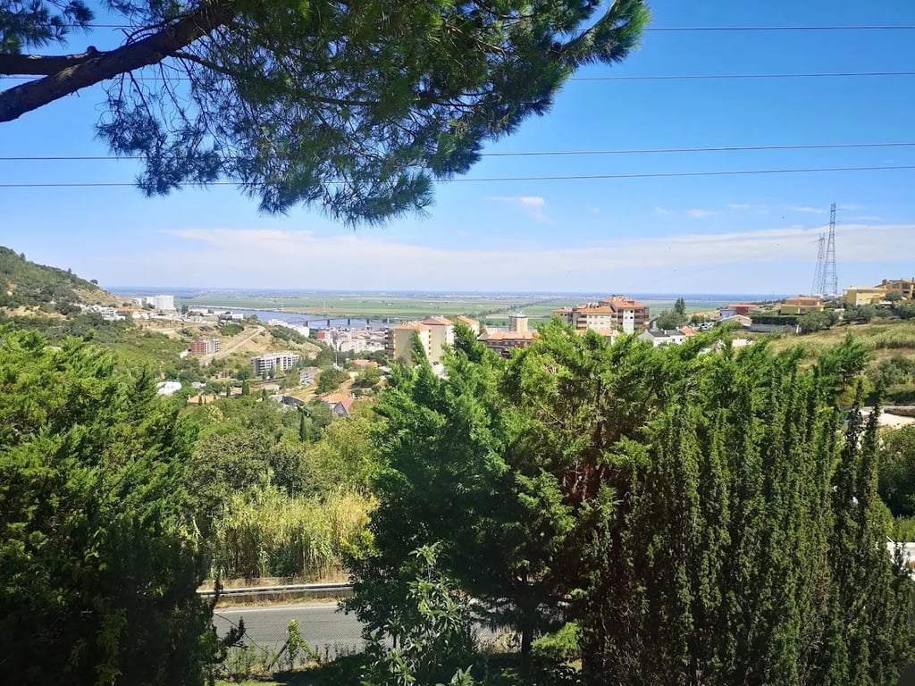 Quinta Do Coraçao