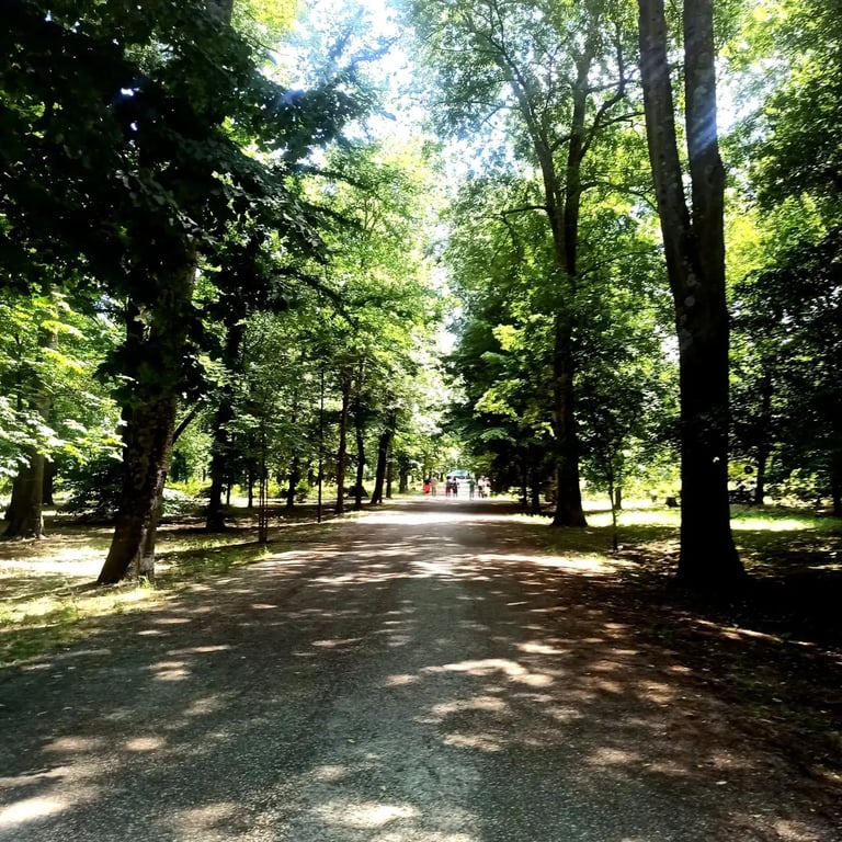 Crossed Paths