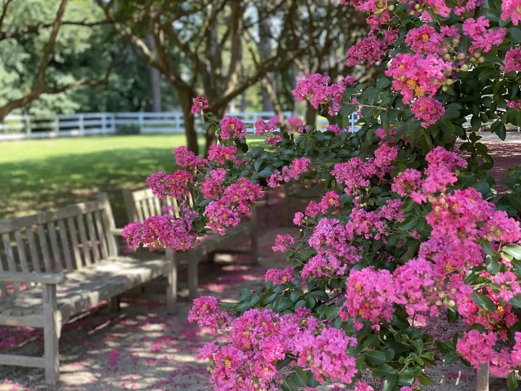 Eastern Shore of Virginia Historical Society - Ker Place