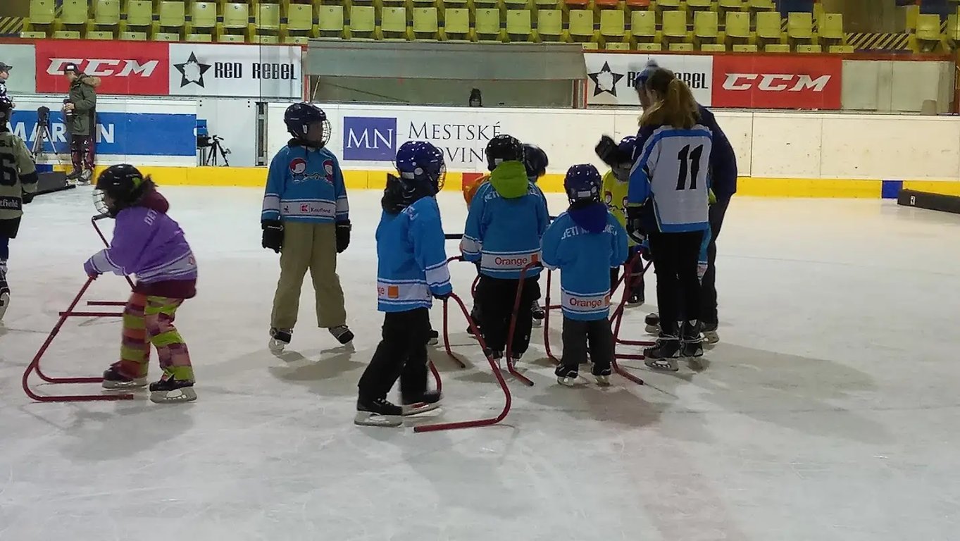 Martin Ice Stadium