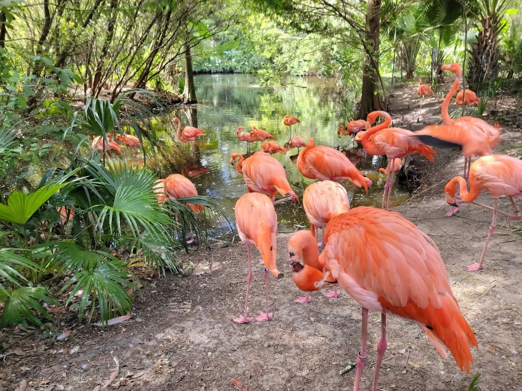 Jacksonville Zoo and Gardens