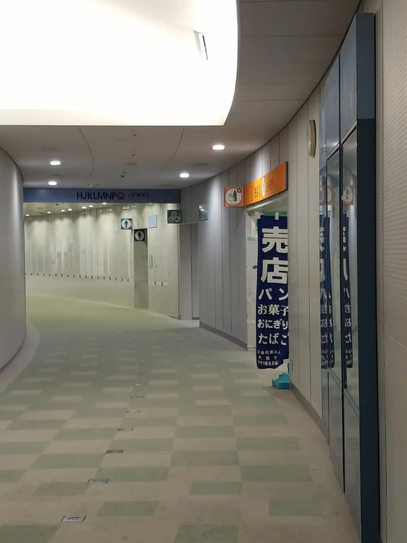 Osaka Municipal Central Gymnasium