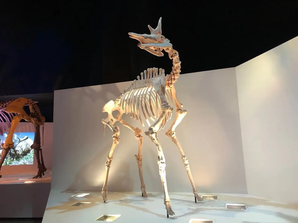 Hall of Paleontology
