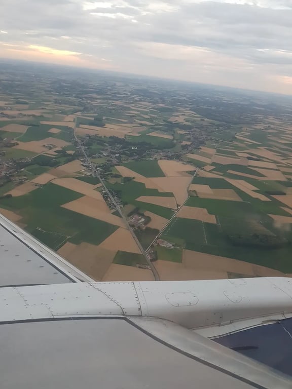 Paris Skies