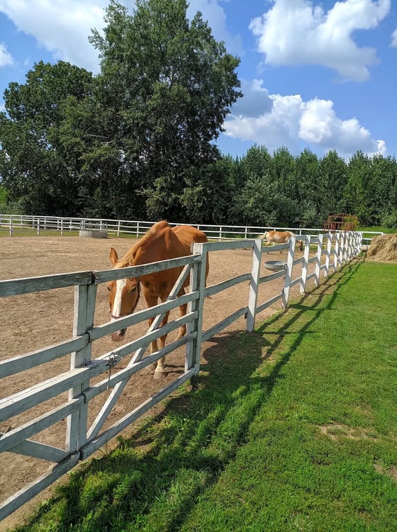 TB-RANCH Fogadó és Rendezvényterem