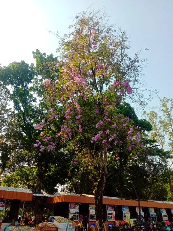 Manahan Tennis Court