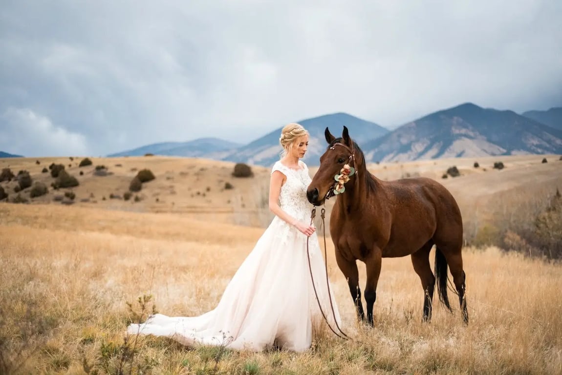 Foster Creek Farm