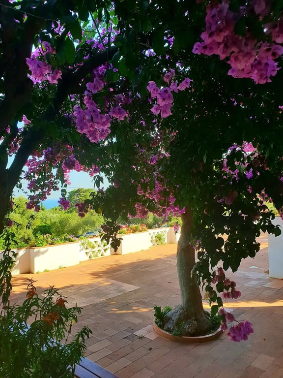 Lar Férias da Casa do Gaiato