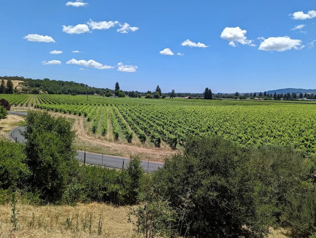 Ru’s Farm