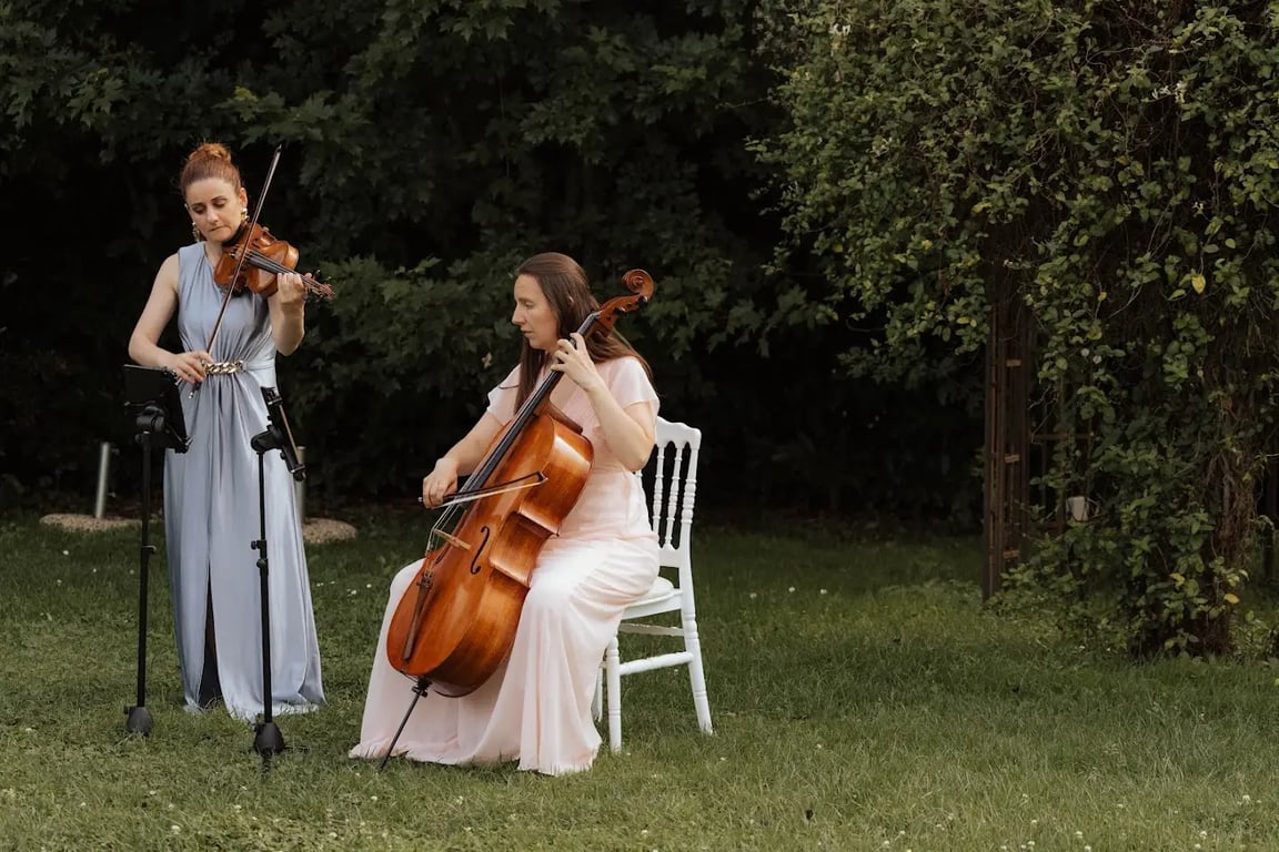 String Quartet