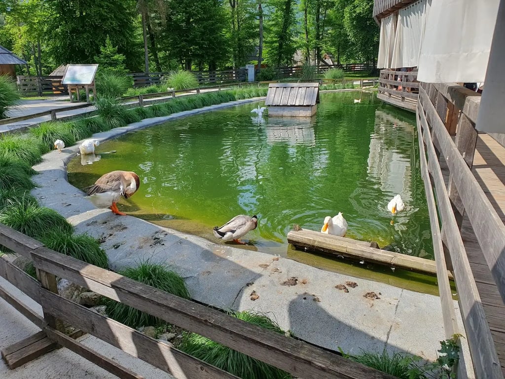 Eco Resort at Velika Planina