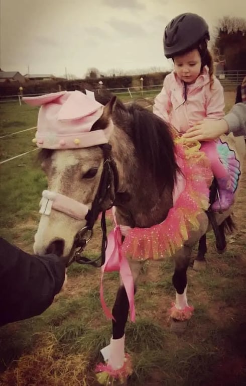 The Pony Party Company