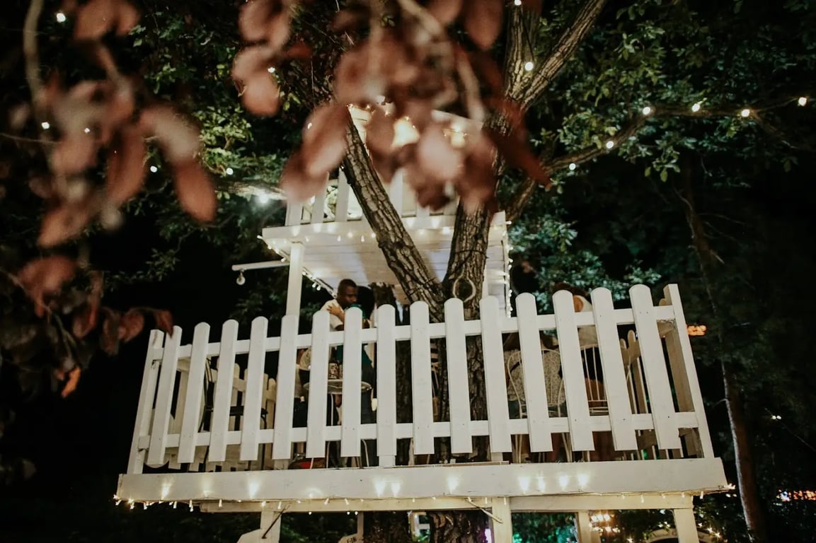 A most unusual garden