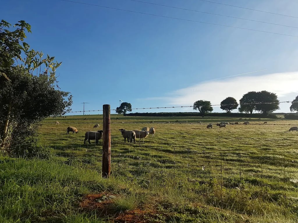 Botelet Farm