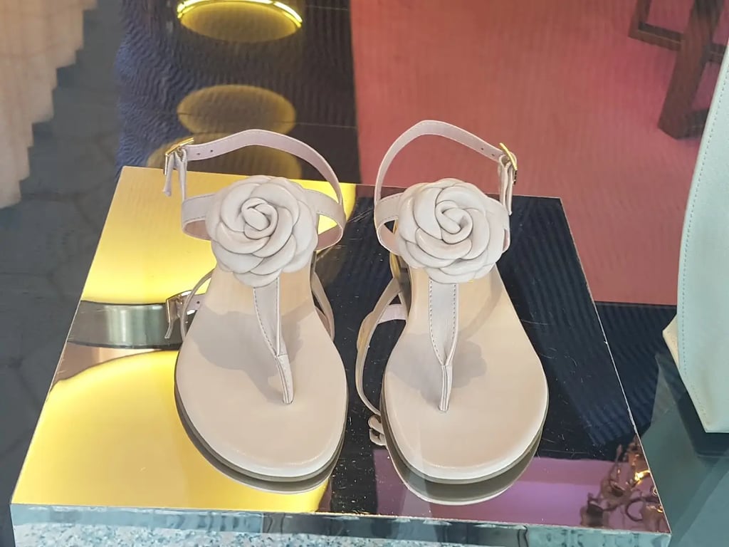 Beach Ballerina