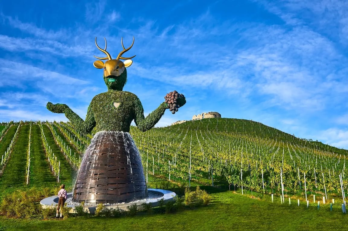 Weingut Taggenbrunn