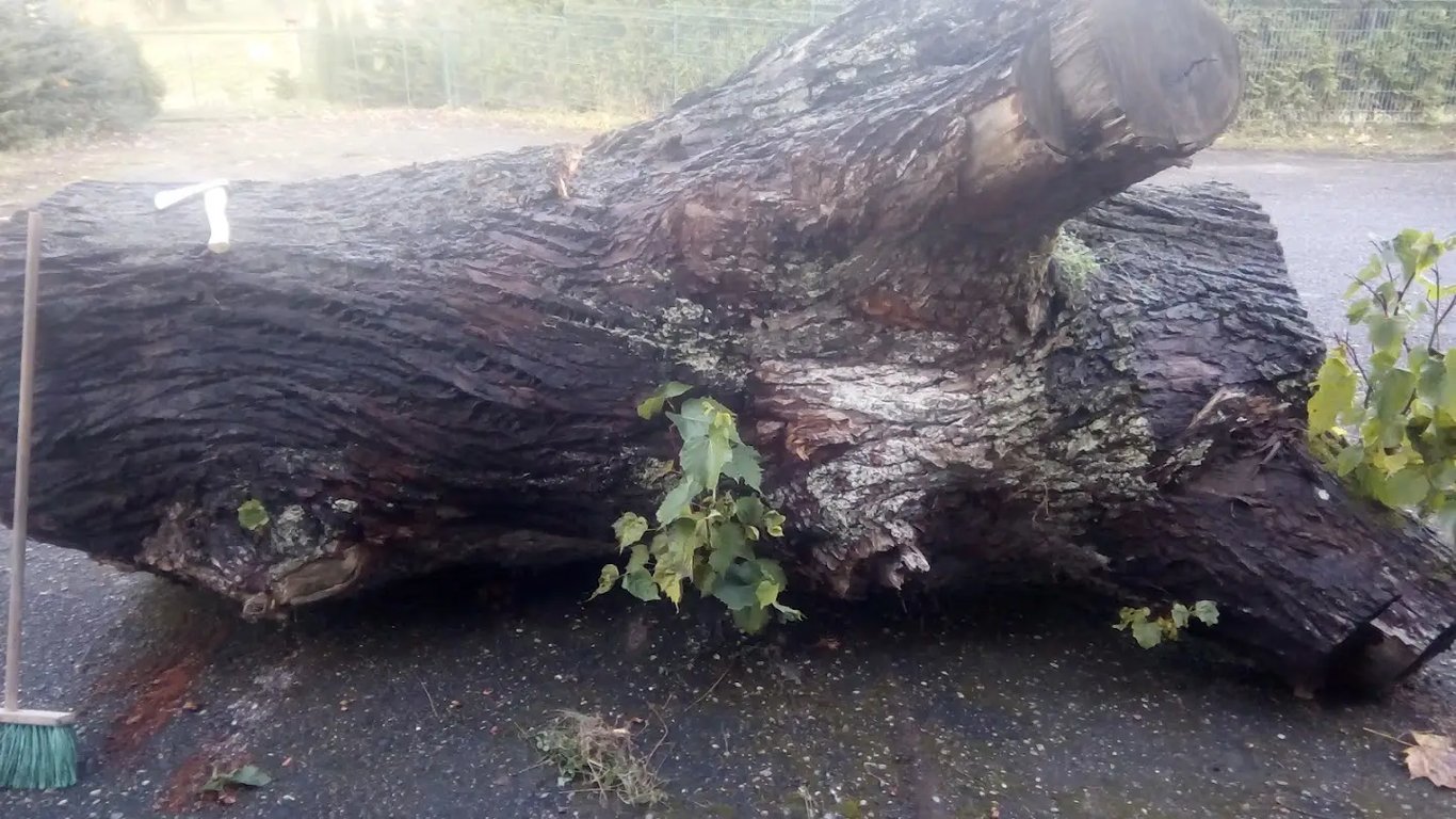 Gminny Ośrodek Kultury