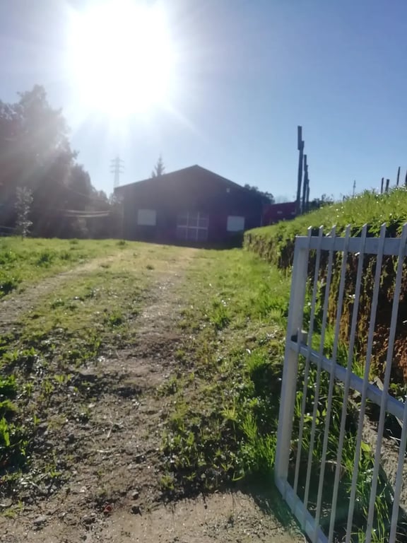Quintinha Ciência dos Sonhos