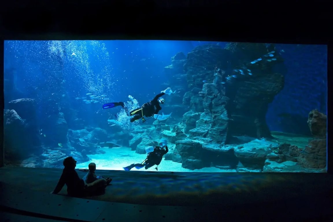Planet Ocean