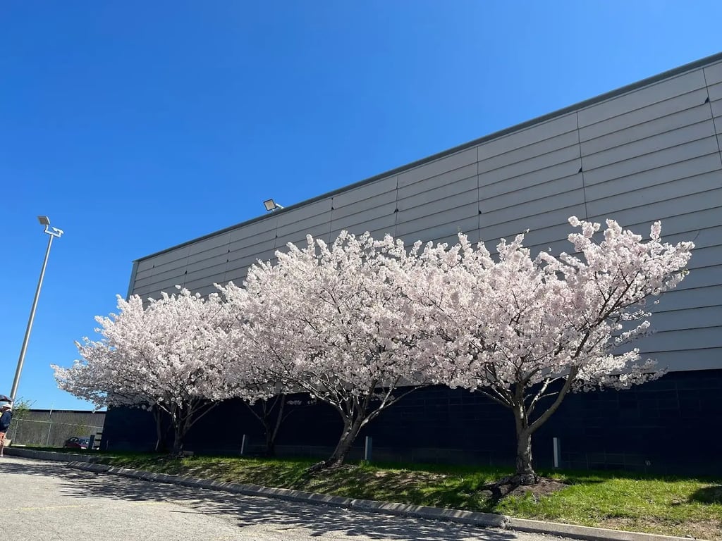 Japanese Canadian Cultural Centre