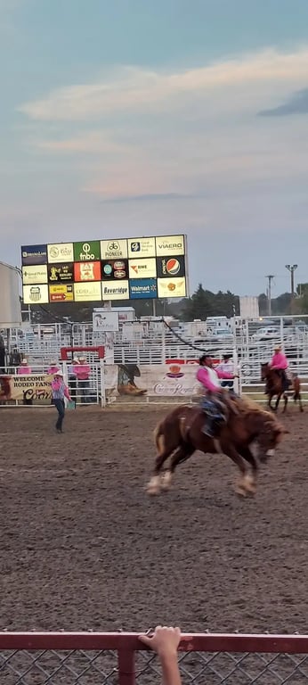 Wild West Arena