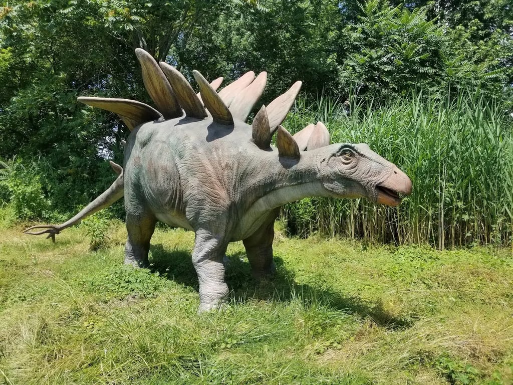 Field Station: Dinosaurs
