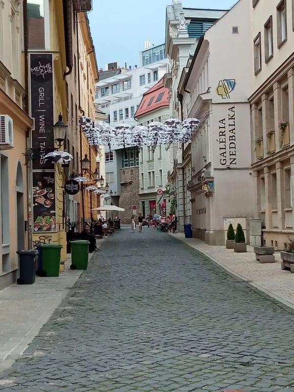 Nedbalka Gallery