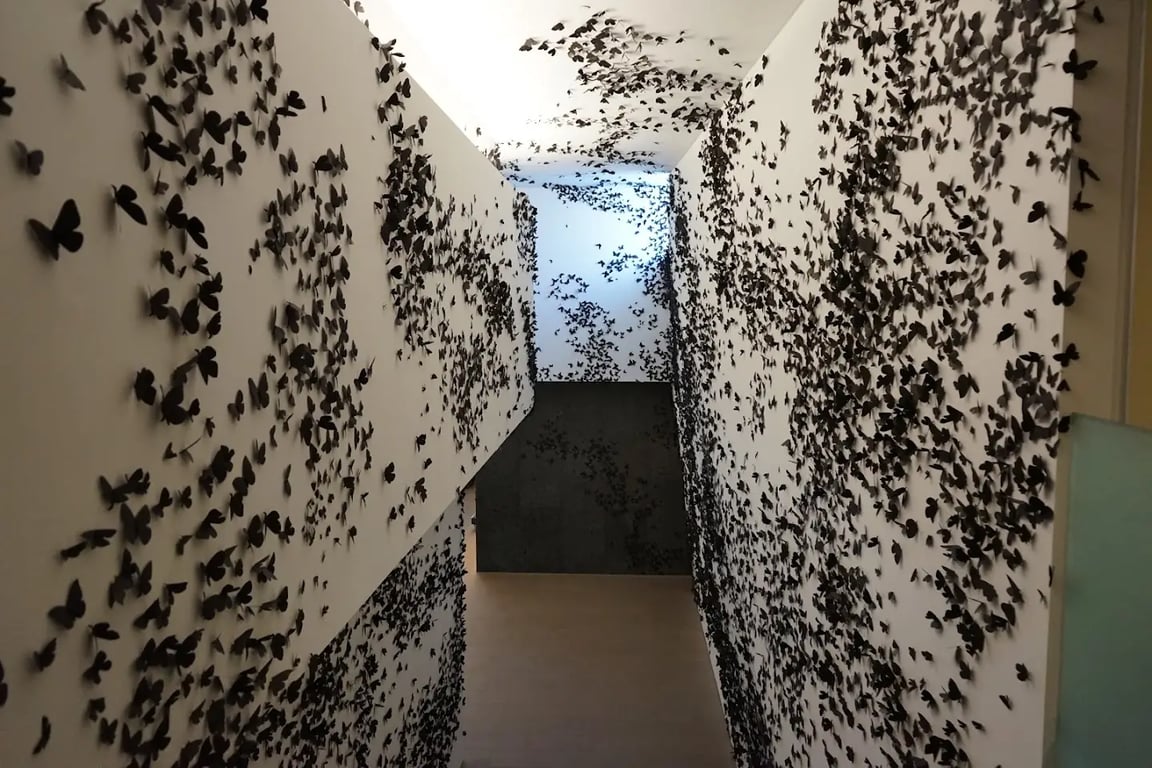 Phoenix Art Museum