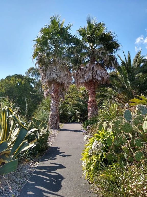 Ventnor Botanic Garden