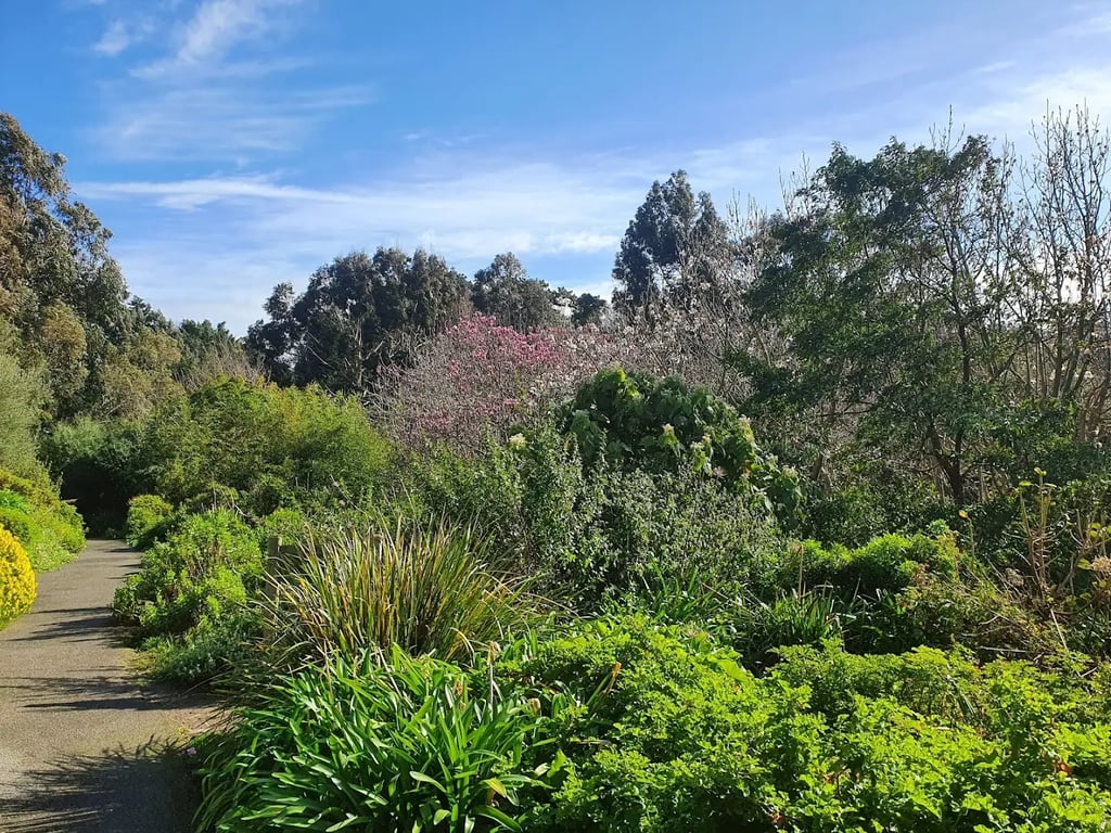 Ventnor Botanic Garden