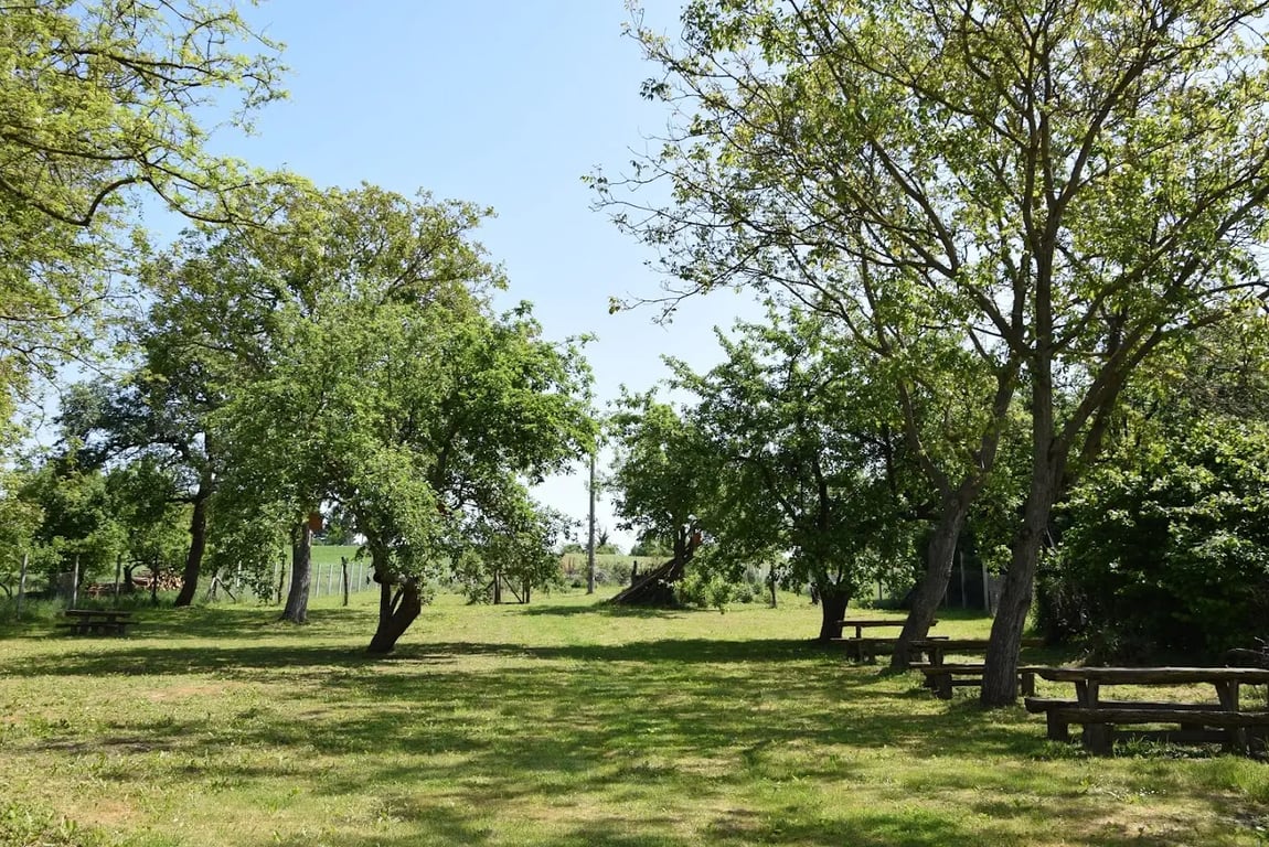Esküvő Kehidán