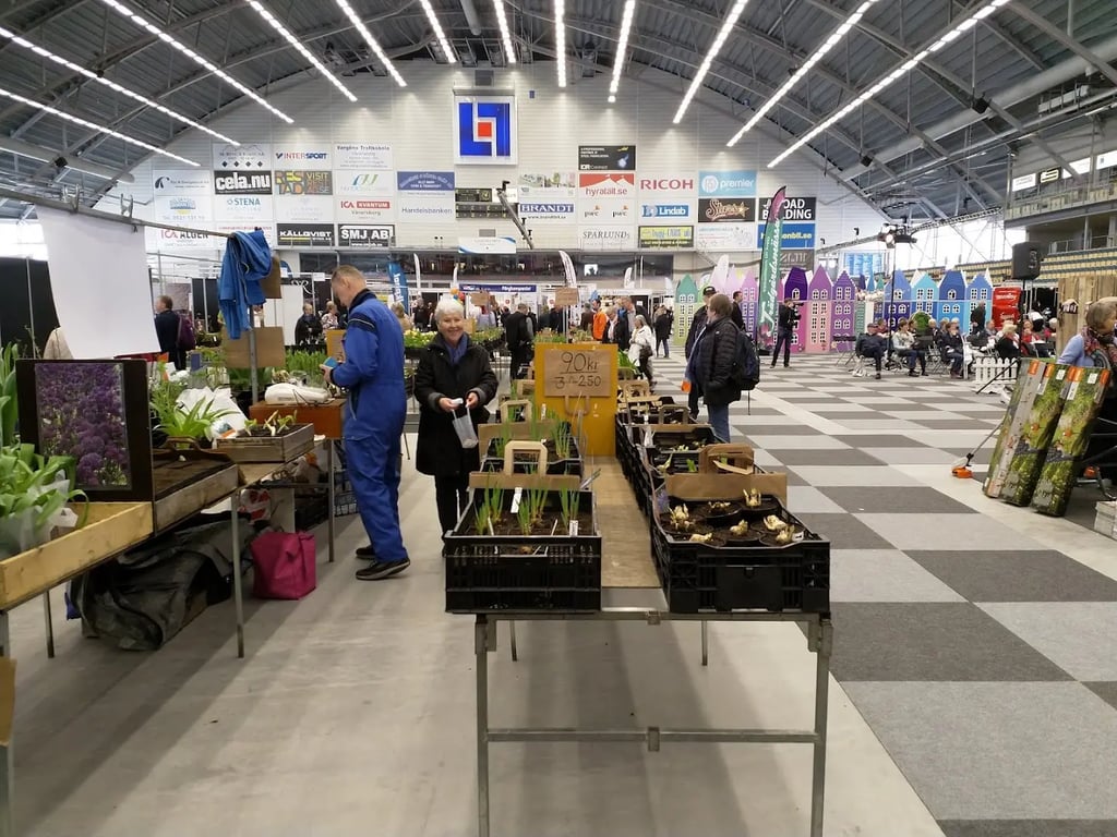 Arena Vänersborg